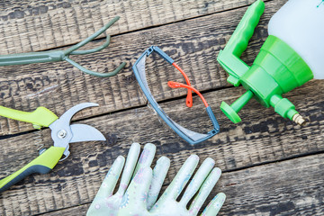 Pruner, rake, pressure sprayer, garden gloves and protective glasses on wooden board