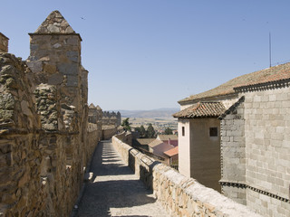 Fototapeta na wymiar Muralla de Avila, Avila city