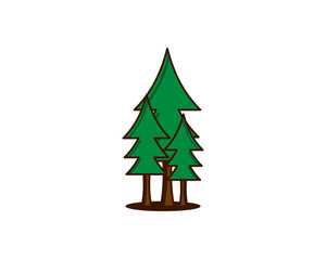 pine tree