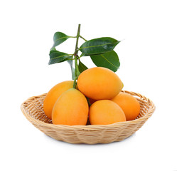 sweet Marian plum thai fruit on white background (Mayongchid Maprang Marian Plum and Plum Mango,Thailand)