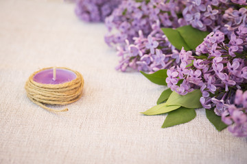 Fototapeta na wymiar Fresh and romantic lilac background