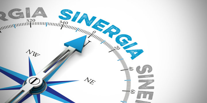 Sinergia / Synergy Konzept auf Kompass