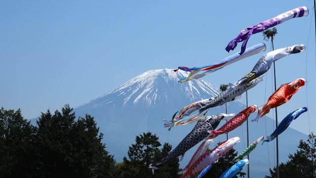 富士山と鯉のぼり・4K