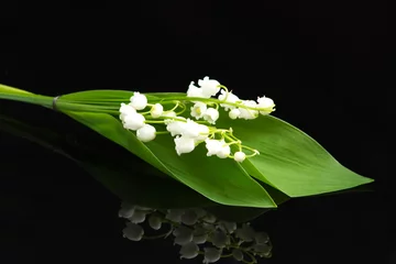 Deurstickers muguet © ALF photo