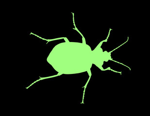 Isolated on black background. Vector illustration.