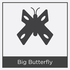 Big Butterfly icon isolated on white background