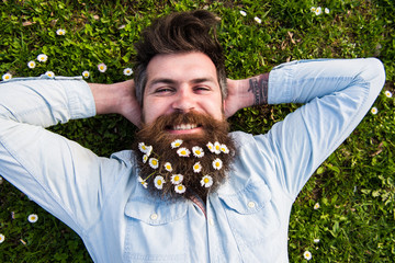 Relaxing concept. Hipster on happy face lays on grass, top view. Man with beard and mustache enjoys...