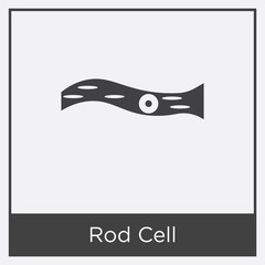 Rod Cell icon isolated on white background