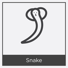 Snake icon isolated on white background