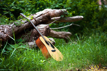 Guitar in the forest Take a guitar to the forest.