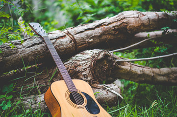 Guitar in the forest Take a guitar to the forest.
