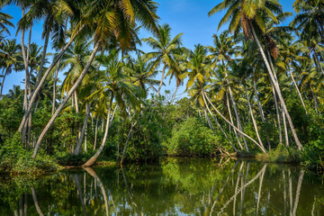 Poovar Lake, Kerala, India