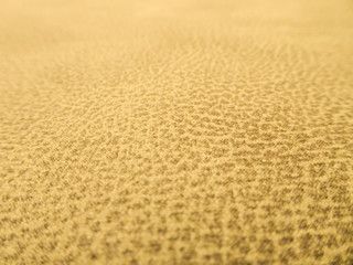 the texture of the original fabric beige