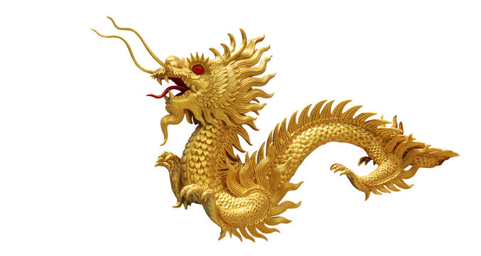   Chinese golden dragon statue isolate on white background.