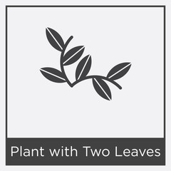 Plant with Two Leaves icon isolated on white background