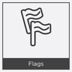 Flags icon isolated on white background