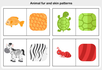 Flashcards animal fur and skin pattern. Worksheet for education.