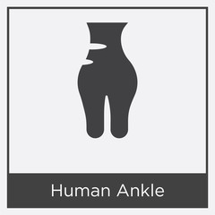 Human Ankle icon isolated on white background