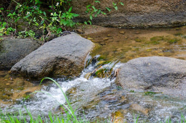 The stream with the grass