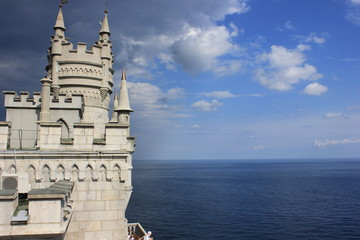 Obraz premium цветы, растения