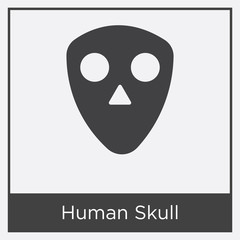Human Skull icon isolated on white background