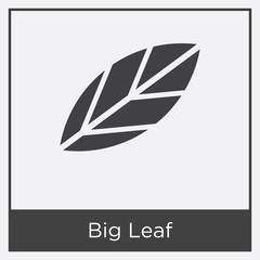 Big Leaf icon isolated on white background