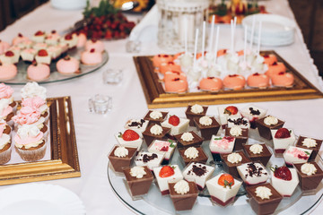 delicious candy,sweets,cupcakes,pops decorated with flowers on table at wedding reception. candy bar. tasty pink sweets for celebrations events and showers. luxury stylish catering