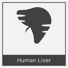 Human Liver icon isolated on white background