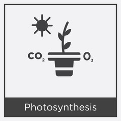 Photosynthesis icon isolated on white background