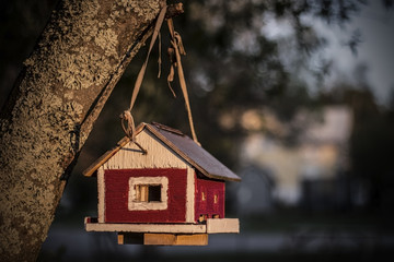 The Tree's Bird's House