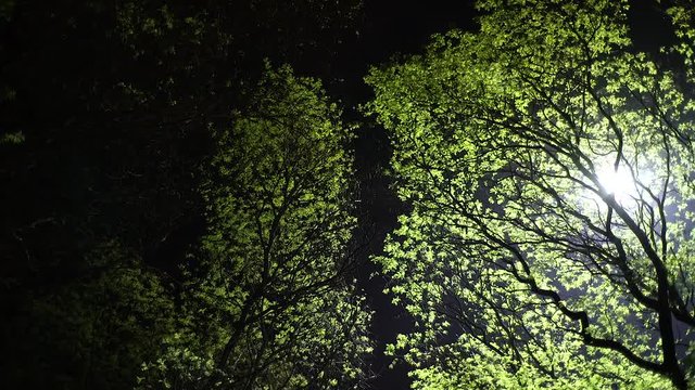 Magic game of light and shadow. Backlight from the drone. 1000w LED. 90.000 lumen