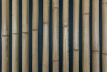 Bamboo wooden fence, background