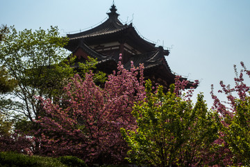 Naklejka premium Ancient Chinese Temple