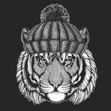 Cute animal wearing knitted winter hat Wild tiger Hand drawn image for tattoo, emblem, badge, logo, patch, t-shirt