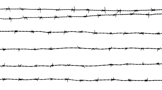 silhouette of a barbed wire isolated on white background