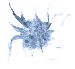 Abstract watercolor background hand-drawn on paper. Volumetric smoke elements. Blue, Navy Peony color. For design, web, card, text, decoration, surfaces.