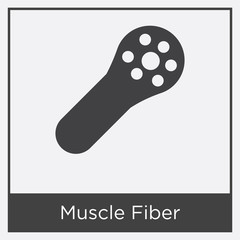 Muscle Fiber icon isolated on white background