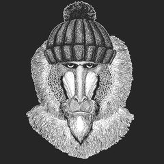 Cute animal wearing knitted winter hat Monkey, baboon, dog-ape, ape Hand drawn image for tattoo, emblem, badge, logo, patch