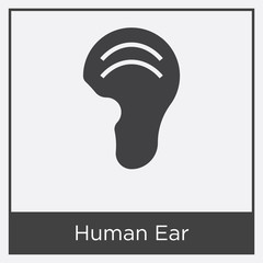 Human Ear icon isolated on white background