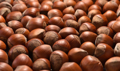 Nuts hazelnuts close-up, nutty background