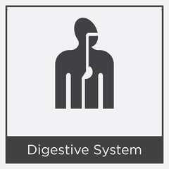 Digestive System icon isolated on white background