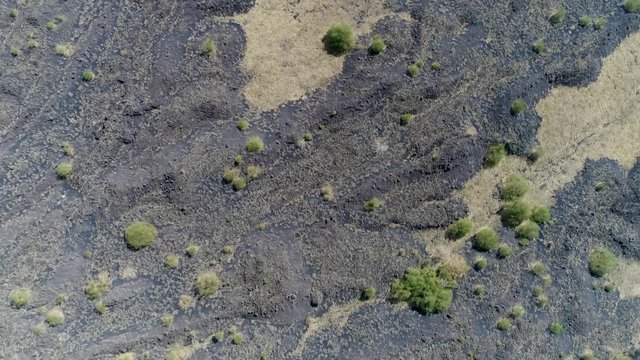 Aerial top down view flight over volcanic landscape showing the cooled down lava flows and in between the fertile soil with vegetation on landscape located at Sicily Italy Mount Etna 4k quality