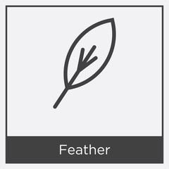 Feather icon isolated on white background