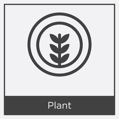 Plant icon isolated on white background