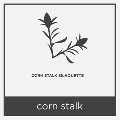 corn stalk icon isolated on white background