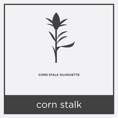 corn stalk icon isolated on white background