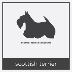 scottish terrier icon isolated on white background