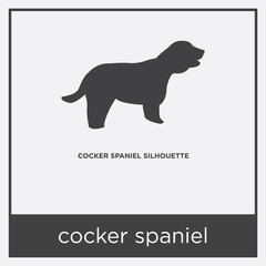 cocker spaniel icon isolated on white background