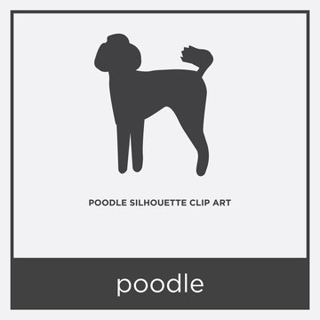 poodle icon isolated on white background
