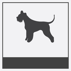  icon isolated on white background